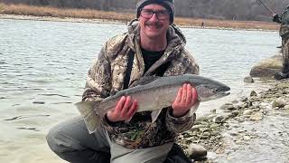 Centerpin Fishing Saugeen River For Steelhead 2024