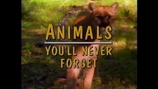 Watch Animals You'll Never Forget Trailer