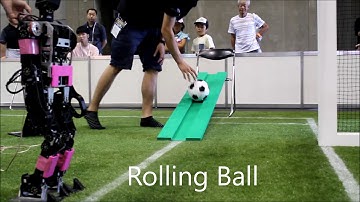 Qualification Video 2018 WF Wolves & Hamburg Bit-Bots