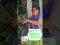 Behind the scenes with nature - In the Classroom