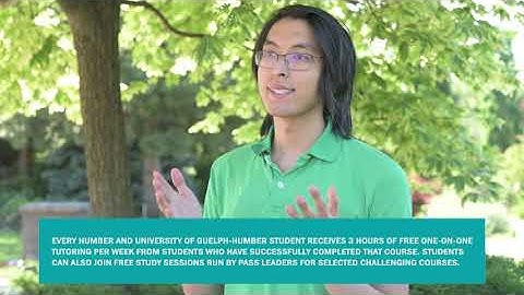 Learn How Peer Assisted Learning Support Can Help You