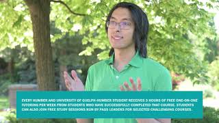 Learn How Peer Assisted Learning Support Can Help You