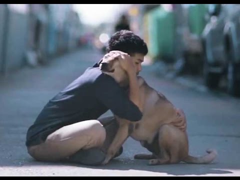 Joven da a Perros Callejeros su 'Primer Abrazo' y así Reaccionan