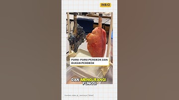Thumbnail of Paru paru perokok vs bukan perokok