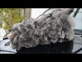 エスキー毛ばたき　オーストリッチ毛ばたき紹介　その１
