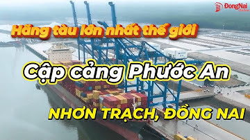 Cảng Phước An, Nhơn Trạch đón hãng tầu biển lớn nhất thế giới cập cảng.