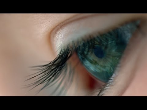 テレンス・マリック監督作/映画『ボヤージュ・オブ・タイム』予告編