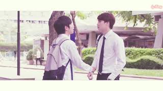 Download Lagu 【不期而爱_TinCan】怎么办