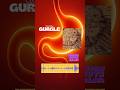 Cookie Gurgle #ASMR #OddlySatisfying #DailyGurgle #Digestion #Gurgle