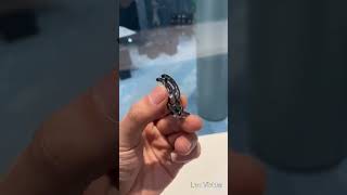 Leo Virtue 티타늄강 변형 남자 2in1 반지 목걸이 써지컬스틸 커플링 선물