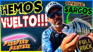 Objetivo: SARGOS | Tanteando ℕ𝕌𝔼𝕍𝕆 𝕊ℙ𝕆𝕋 de PESCA