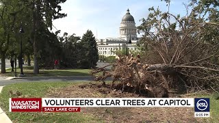 Volunteer Crew Clears Trees At Utah State Capitol