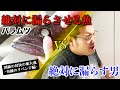 【対決・完結・濡れたケツ】絶対に漏らさせる魚「バラムツ」VS絶対に漏らす男【黄金の風】