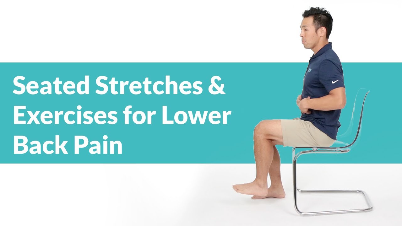 Seated Lower Back Exercises For Seniors