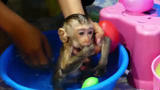 Baby Monkey Avatar Takes A Bath With Mom Bathroom Lovely
