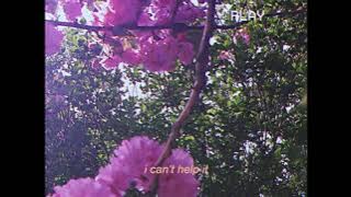 Sofia Kay 'can't help it'  Lyric Video