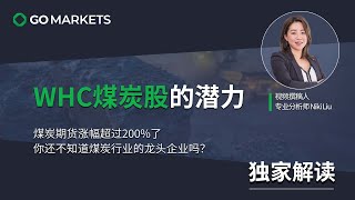 WHC煤炭股的潜力