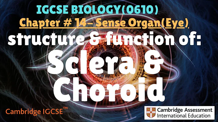 IGCSE Biology|Chapter 14.2 Sense organs-Eye(sclera & choroid)