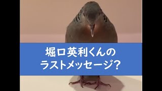 暇空茜の配信のサムネイル画像