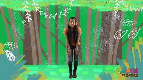 Layers of the rainforest