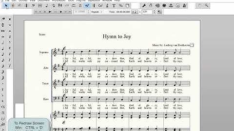 Dynamics, Measure Numbers and Rehearsal Marks