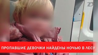 Пропавшие девочки найдены ночью в лесу | Зона Х