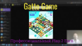 Gatto Game: играть как профи | Premium Ticket | Заработок и вложения | Автоматизация | P2E Telegram