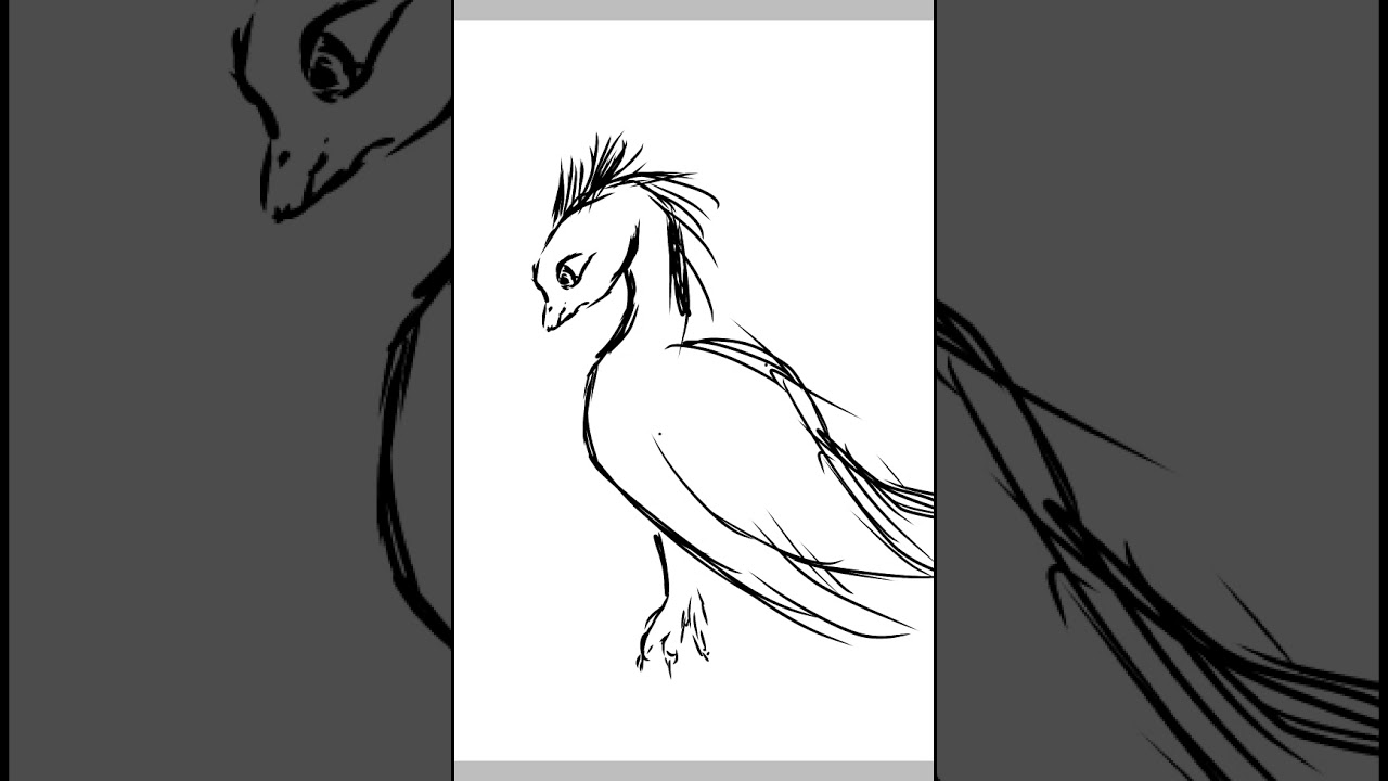 Что нарисовать легкое в ибис пейнт