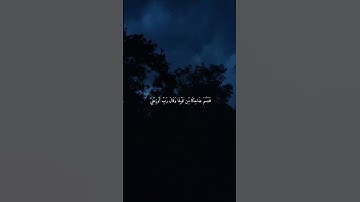 سورة النمل إسلام صبحي القرآن الكريم تلاوة هادئة #القرآن_الكريم #المصحف #اسلام_صبحي #سورة_النمل