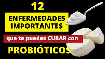 ¿Qué enfermedades se curan con probióticos?