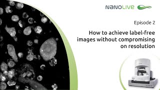 Nanolive's miniseries Episode 2 - How to achieve labelfree images without compromising on resolution