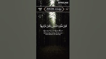 ✨ تلاوة خاشعة من سورة طه | آيات تبعث الطمأنينة ✨