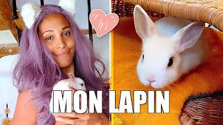 JE VOUS PRÉSENTE MON LAPIN !