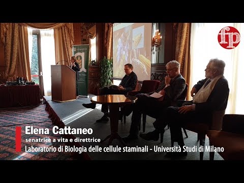 Le fake news su ogm e glifosato, il parere della senatrice e ricercatrice Elena Cattaneo