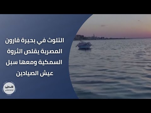 التلوث في بحيرة قارون المصرية يقلص الثروة السمكية ومعها سبل عيش الصيادين