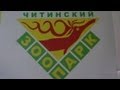 В Читинском зоопарке 5 августа 2013 года