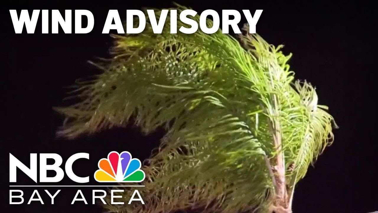 Wind advisory in effect for parts of Bay Area - YouTube