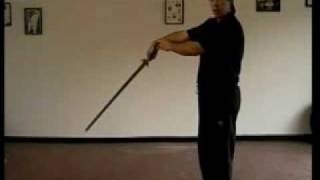 Tai Chi Yang Sword Form screenshot 3