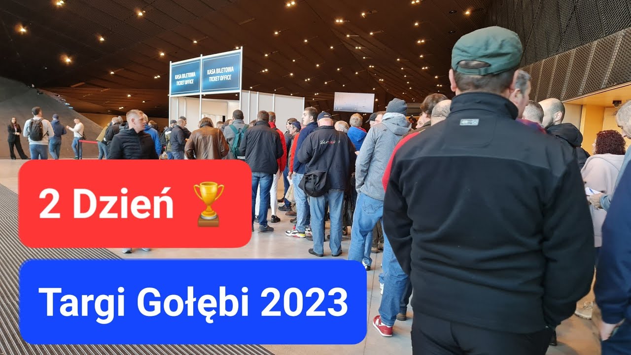 2 Dzień - Targi Gołębi 2023 / Katowice 🏆