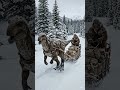 Dog Sleds Are Out… Dinosaurs Took Over #ai #aicreature #creaturedesign #cinematic #shorts