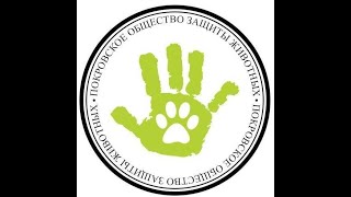 Спасение умирающей собаки Спасение умирающей собаки