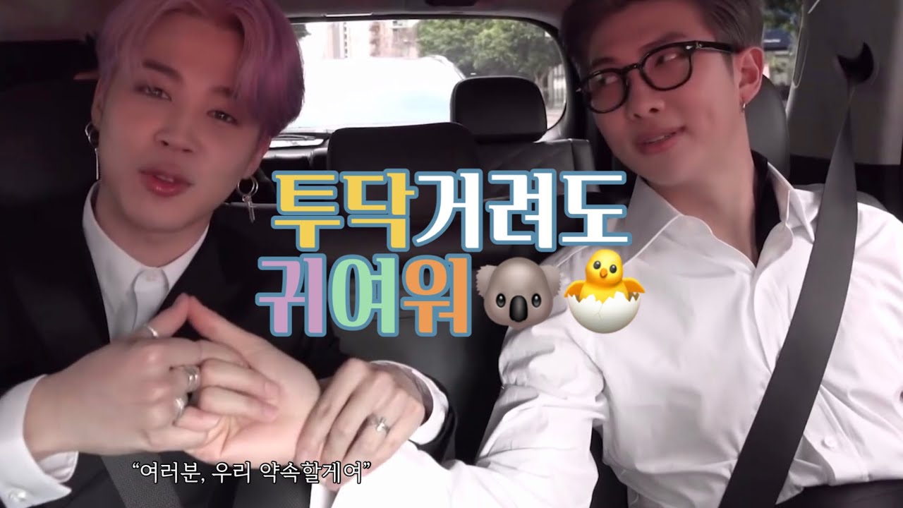 [방탄소년단/남준/지민] 미니모니 베이스는 애정이야 / MINIMONI MOMENTS