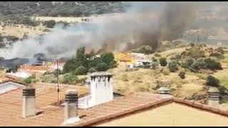 Estabilizado el incendio de pasto en la zona sur de Plasencia