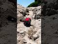 Power Climb #wplc54 #rclandcruiser #rcoffroad #rccar #rccrawler #rc4x4 #rclife #rcadventure