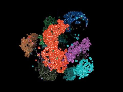 Video: Vizualizēt ķīmisko Funkcionalitāti Augu šūnu Sienās
