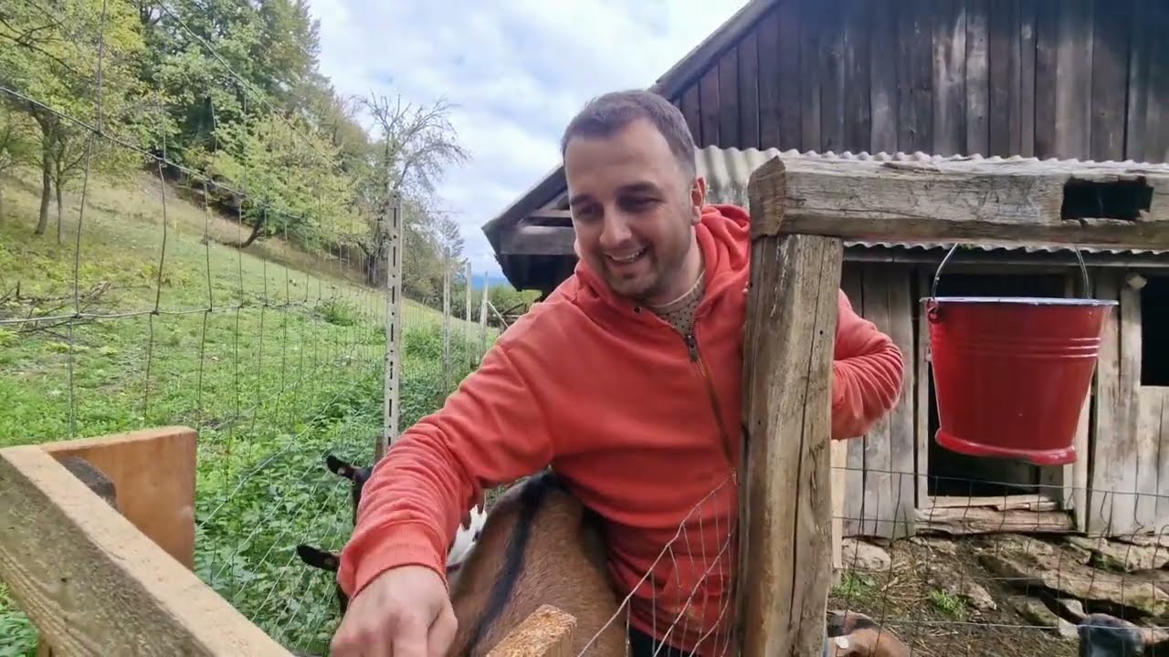 МЫ ДОИМ КОЗ В ОКТЯБРЕ! ГОВОРИМ О МИРЕ И ЖИЗНИ В СТРАНЕ! 2 октября 2025 г.