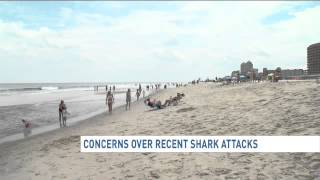 N.C. shark attacks have Ocean City beach goers talking