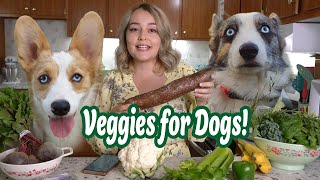 Best Vegetables for Dogs