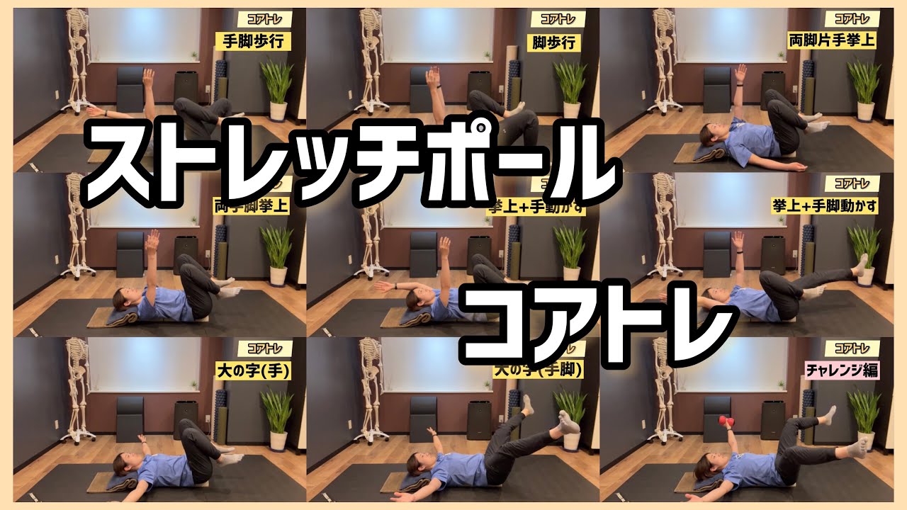 CoreCradle コアクレードル ちょいサポ ストレッチポールハーフ CoreCradle コアクレードル ちょいサポ ストレッチポールハーフ