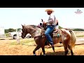 CUADRA TEXANO VS CUADRA COMPADRES 250 YDS